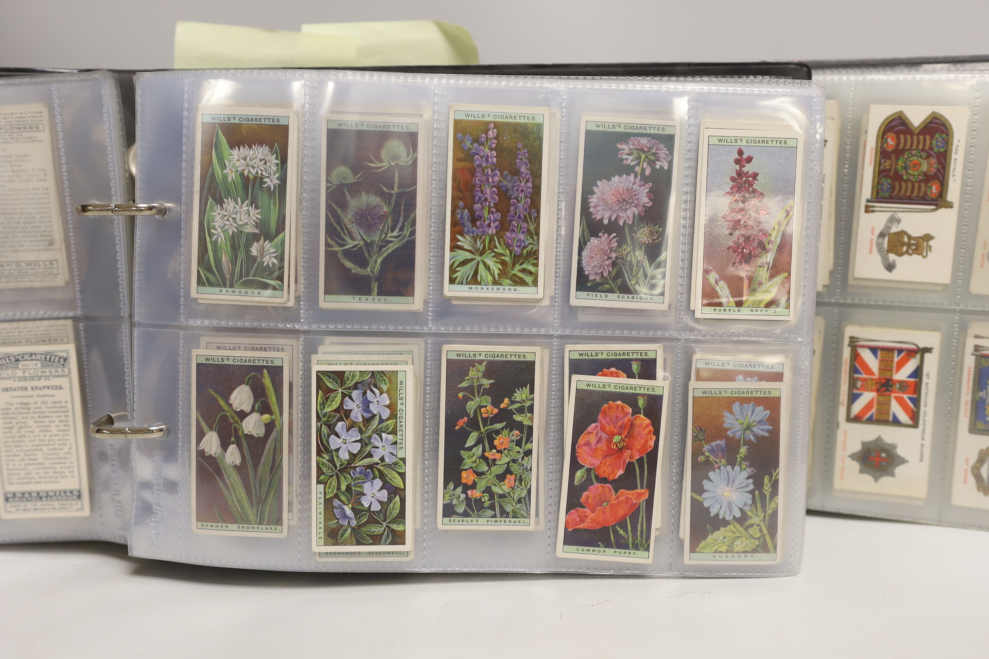 A collection of cigarette cards, some arranged in albums including Wills